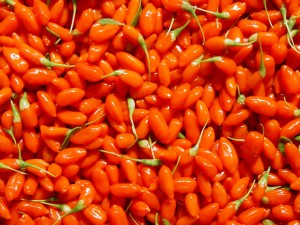 goji bær i høst 003