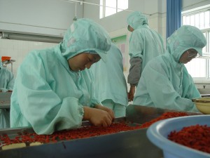goji bær i høst 013